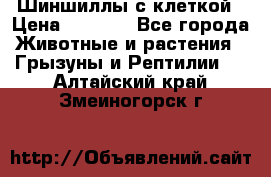 Шиншиллы с клеткой › Цена ­ 8 000 - Все города Животные и растения » Грызуны и Рептилии   . Алтайский край,Змеиногорск г.